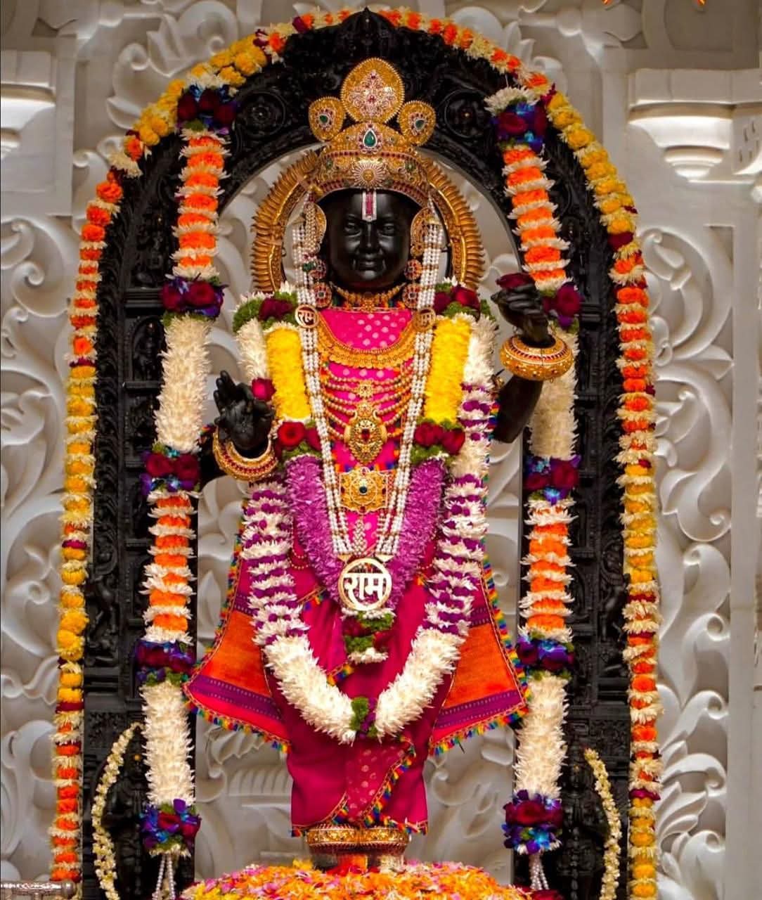 WhatsApp Image 2026-03-20 at 16.03.12 (1)