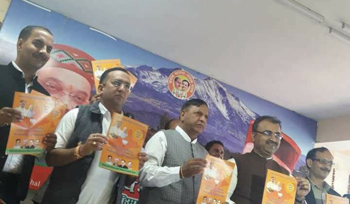 WhatsApp Image 2026-02-12 at 17.28.02 (1)