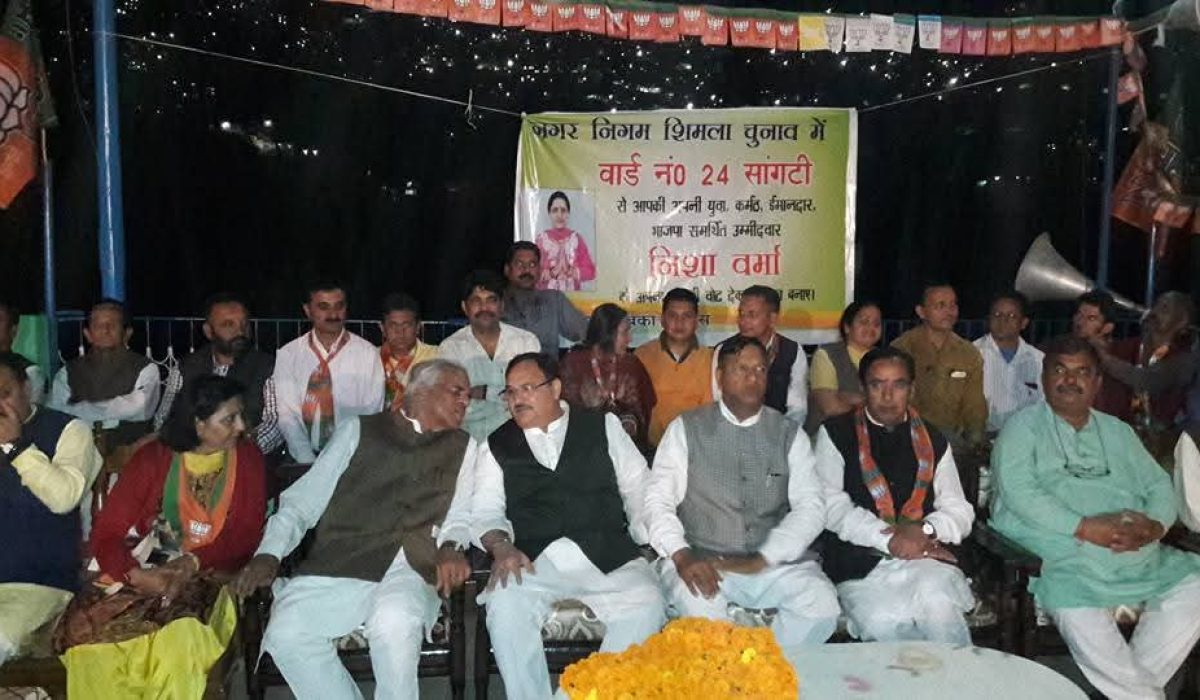 WhatsApp Image 2026-02-12 at 17.33.03